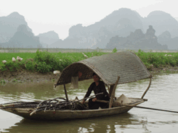 Kenhga, Ninh Binh, Halong terrestre, 